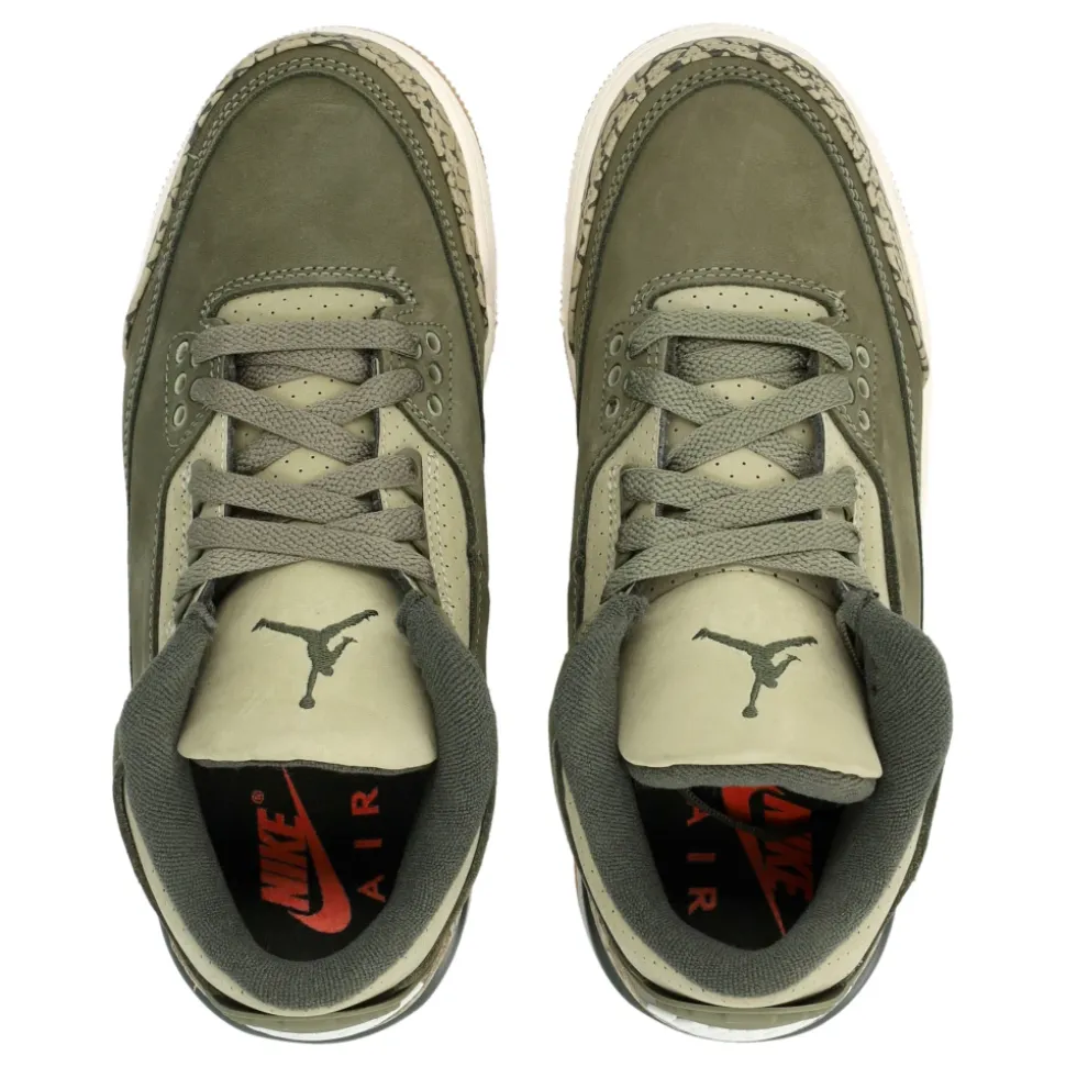 Air Jordan 3 Retro