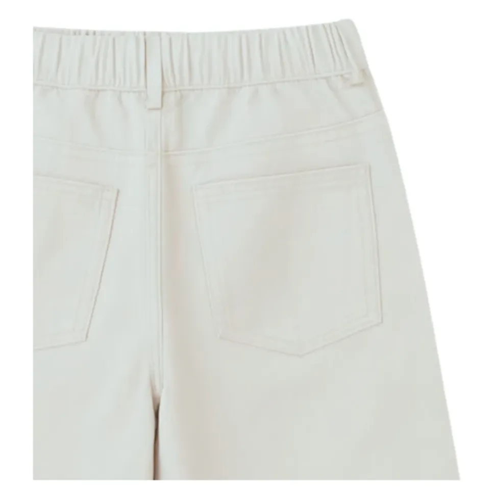 Ayr Pantalon