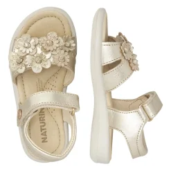 Brahma Sandal