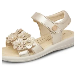 Brahma Sandal