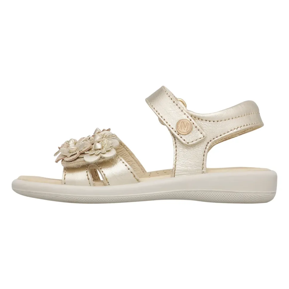 Brahma Sandal