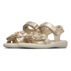 Brahma Sandal