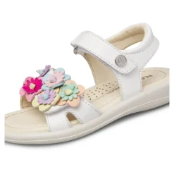 Brahma Sandal