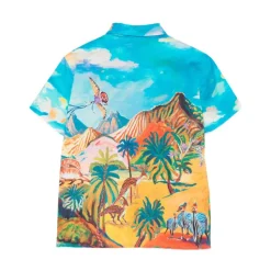 Chemise imprimée