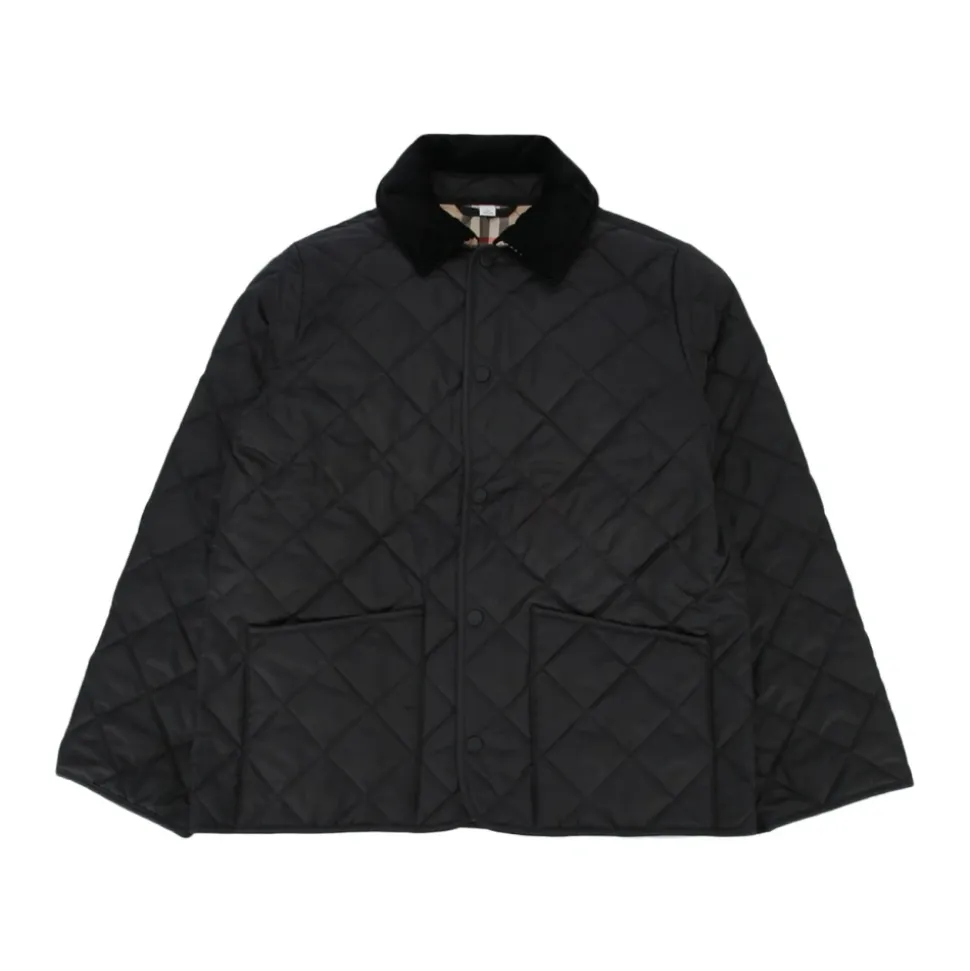 Down Jackets