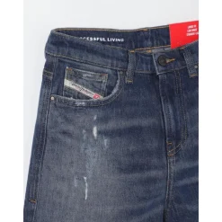 Jean Large Distressed