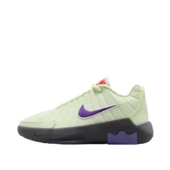 LeBron Witness 9