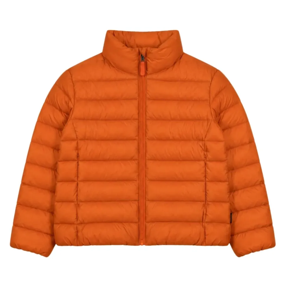 Light Jackets