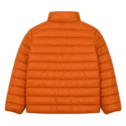 Light Jackets