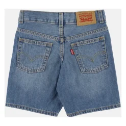 LVB Skate Shorts