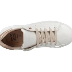 Nettuno