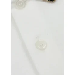 Polo EKD