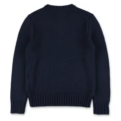Pull Drapeau Iconique