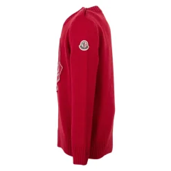Pull en laine et cachemire avec pingouin