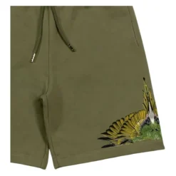 Shorts Bermuda