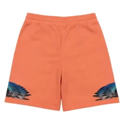 Shorts Bermuda