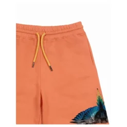 Shorts Bermuda