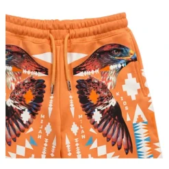 Shorts Bermuda