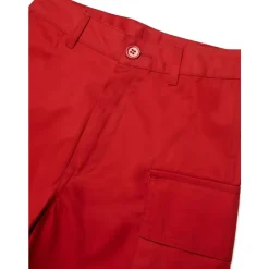 Shorts Cargo