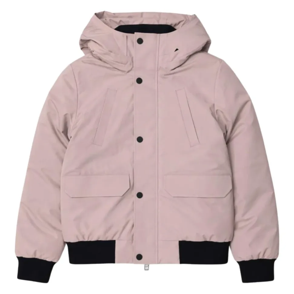 Softshell Jacket