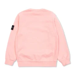 Sweat-shirt avec écusson logo