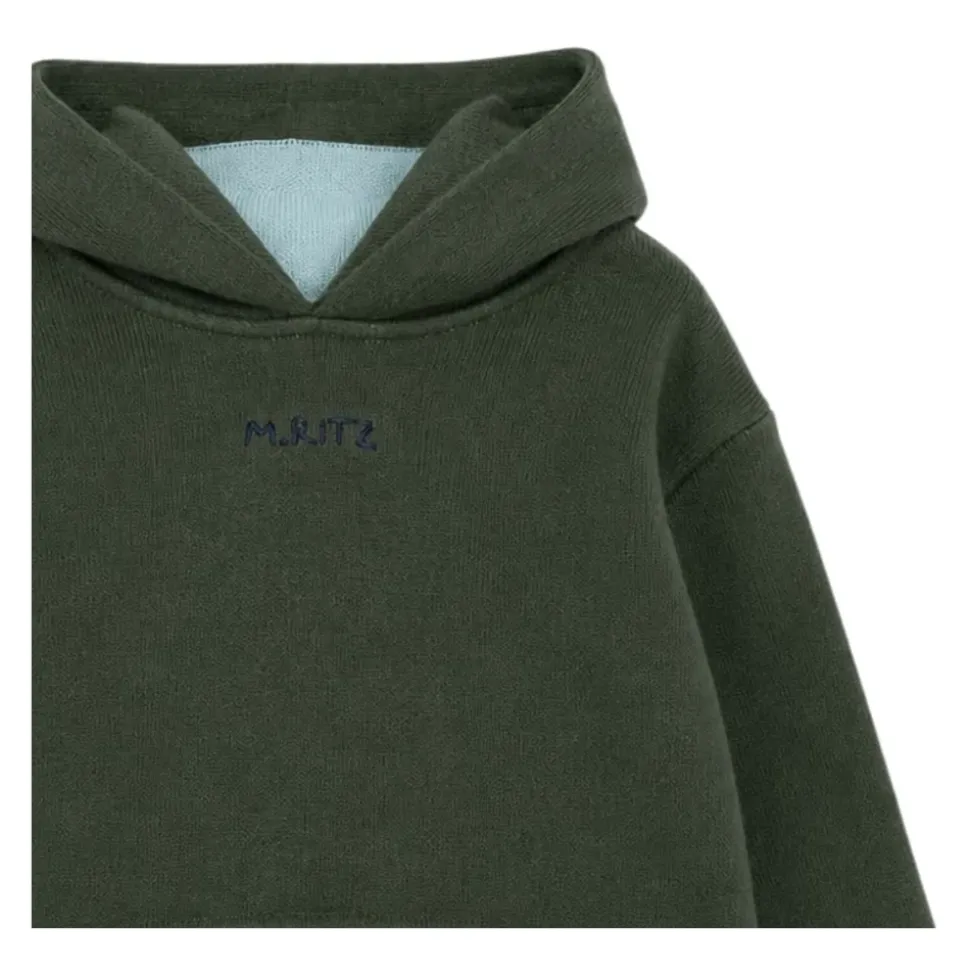 Sweatshirt à capuche avec détails contrastés
