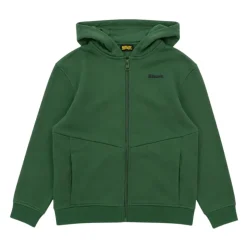 Sweatshirt à capuche avec logo brodé