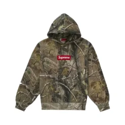 Sweatshirt à capuche Box Logo (FW25) Realtree AP Camo