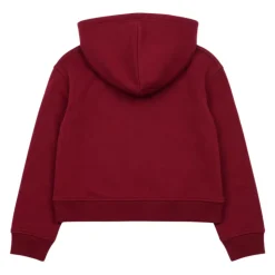 Sweatshirts Blauer