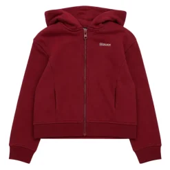Sweatshirts Blauer