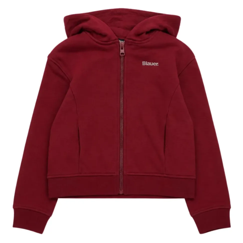 Sweatshirts Blauer