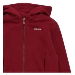 Sweatshirts Blauer