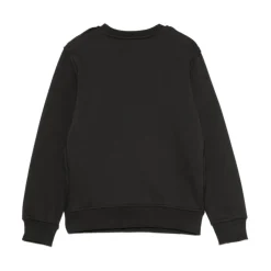 Sweatshirt Sfilt avec imprimé aigle