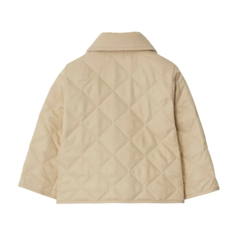 Veste Junior Pale Stone