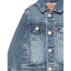 Vestes Bleues