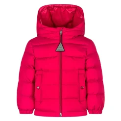 Veste Taidu