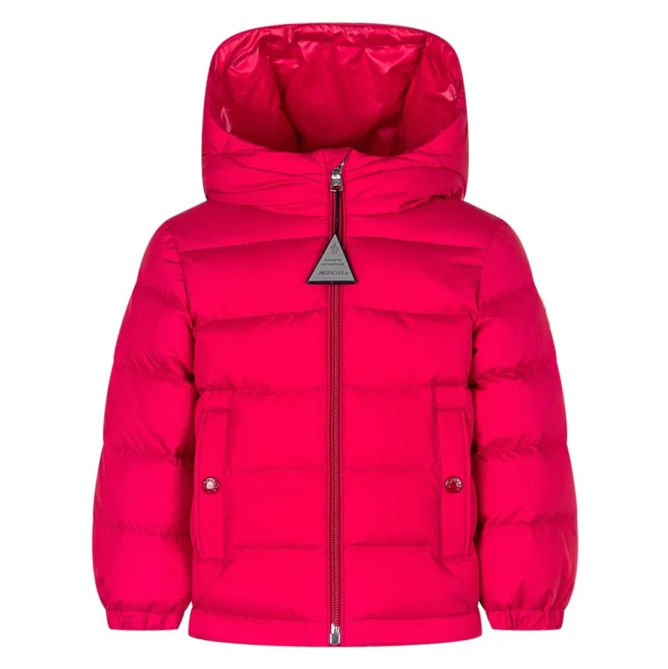 Veste Taidu