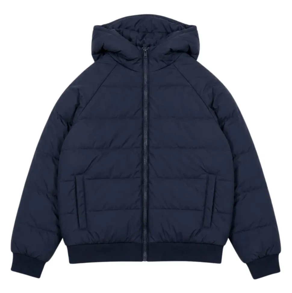 Winterjackets